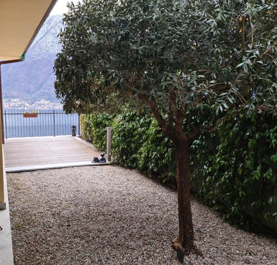 Colonno Panoramica Lago Di Como מראה חיצוני תמונה