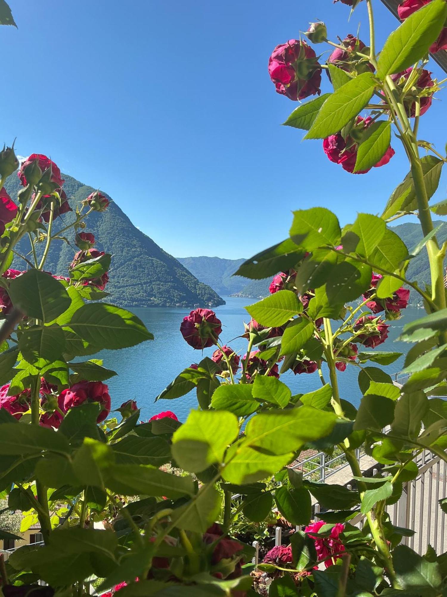 Colonno Panoramica Lago Di Como מראה חיצוני תמונה